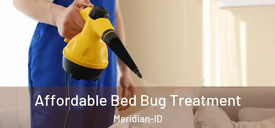  Affordable Bed Bug Treatment Meridian-ID
