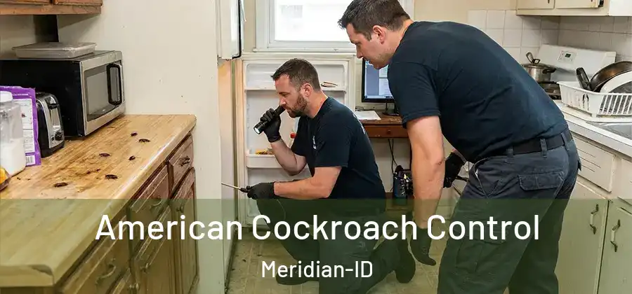 American Cockroach Control Meridian-ID