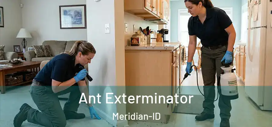 Ant Exterminator Meridian-ID