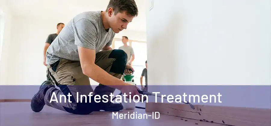 Ant Infestation Treatment Meridian-ID