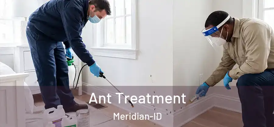 Ant Treatment Meridian-ID