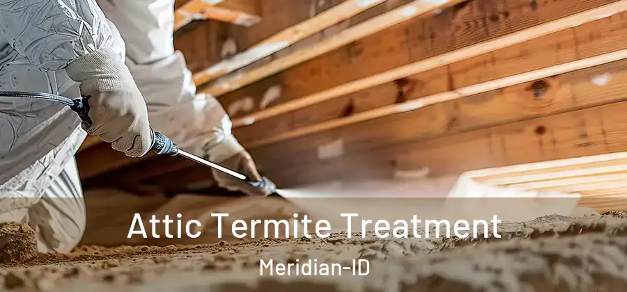  Attic Termite Treatment Meridian-ID