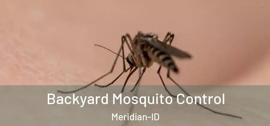 Backyard Mosquito Control Meridian-ID