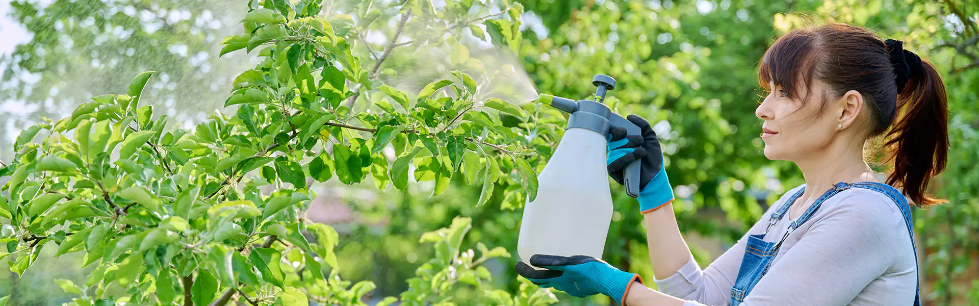 Mosquito Yard Treatment