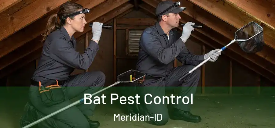  Bat Pest Control Meridian-ID