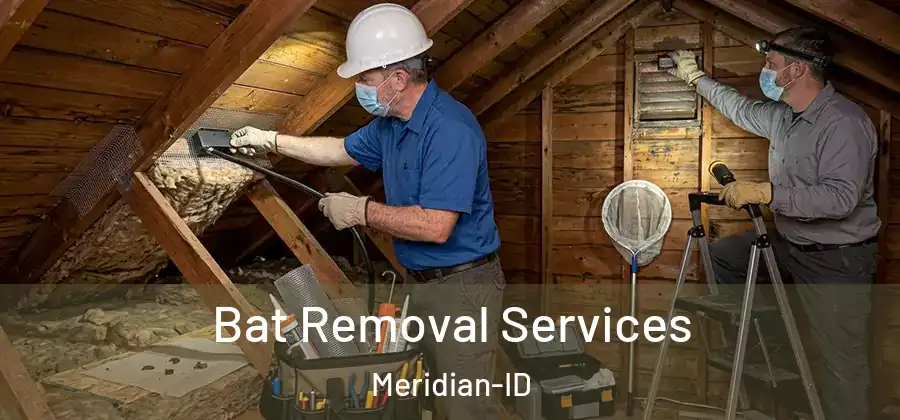 Bat Removal Services Meridian-ID