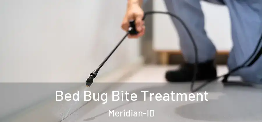  Bed Bug Bite Treatment Meridian-ID