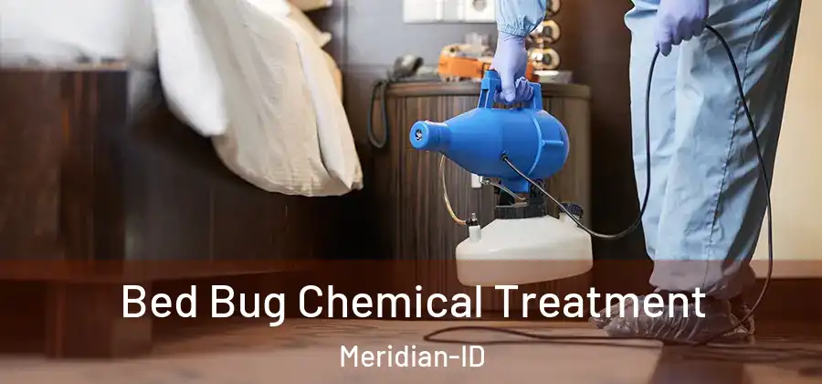 Bed Bug Chemical Treatment Meridian-ID