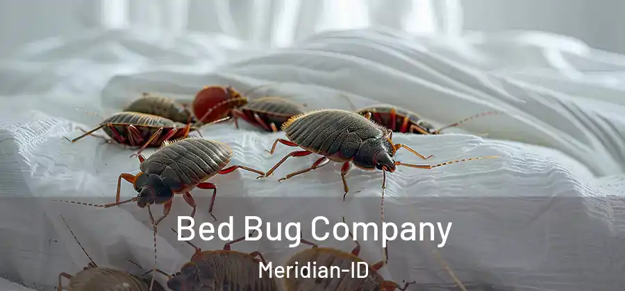 Bed Bug Company Meridian-ID