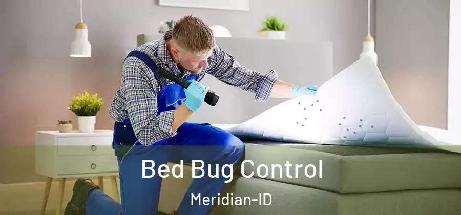 Bed Bug Control Meridian-ID