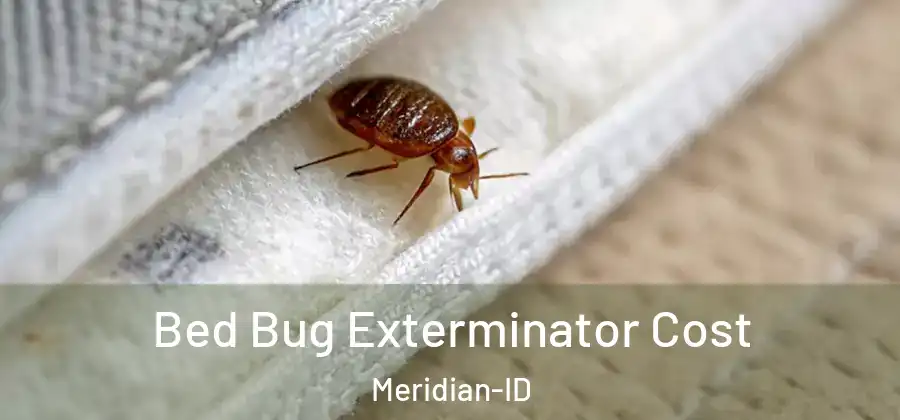 Bed Bug Exterminator Cost Meridian-ID