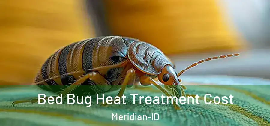 Bed Bug Heat Treatment Cost Meridian-ID