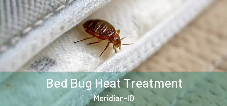 Bed Bug Heat Treatment Meridian-ID