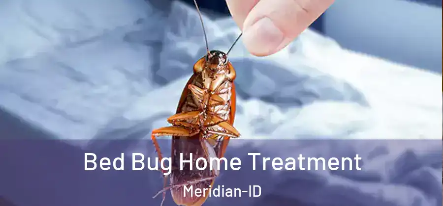 Bed Bug Home Treatment Meridian-ID