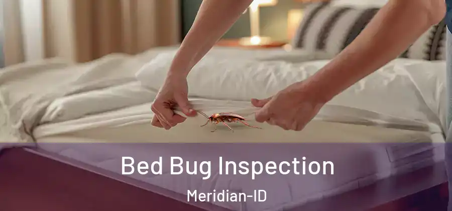  Bed Bug Inspection Meridian-ID