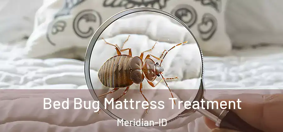 Bed Bug Mattress Treatment Meridian-ID