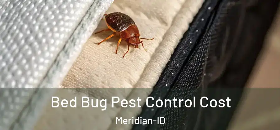  Bed Bug Pest Control Cost Meridian-ID