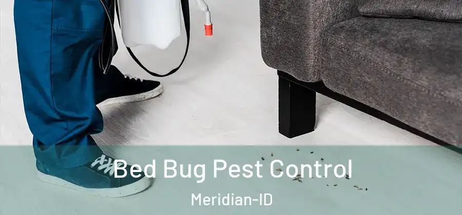  Bed Bug Pest Control Meridian-ID