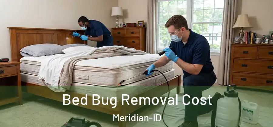Bed Bug Removal Cost Meridian-ID