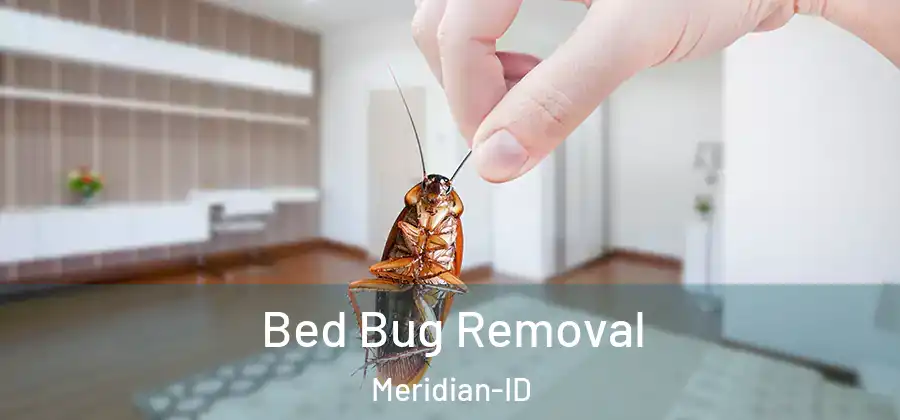  Bed Bug Removal Meridian-ID