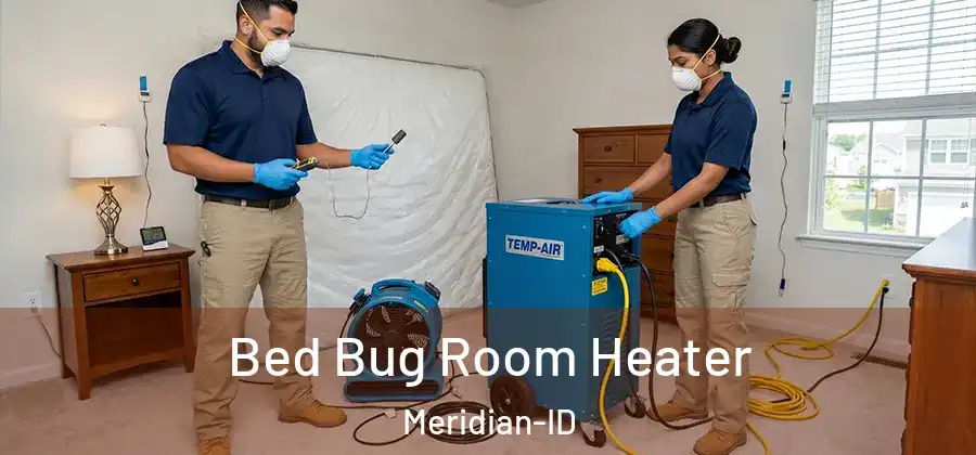 Bed Bug Room Heater Meridian-ID