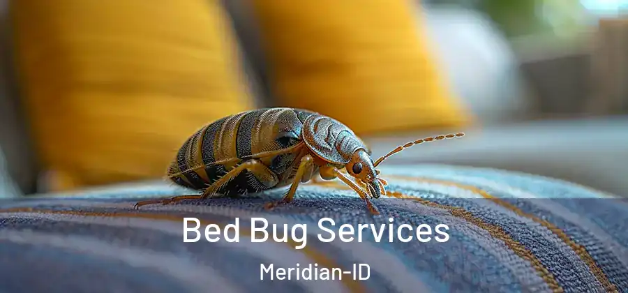  Bed Bug Services Meridian-ID