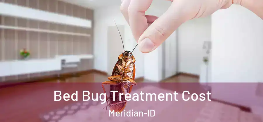  Bed Bug Treatment Cost Meridian-ID