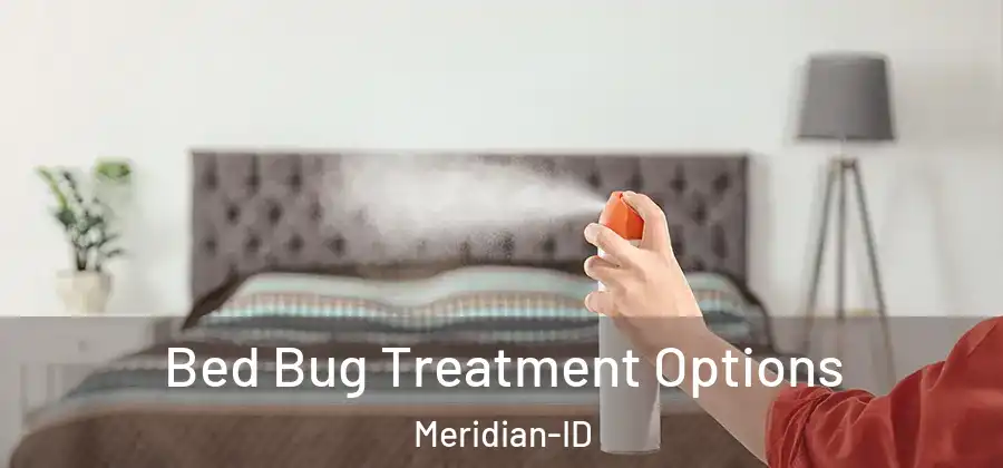 Bed Bug Treatment Options Meridian-ID