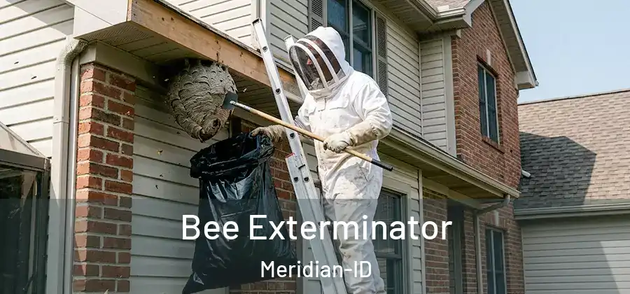  Bee Exterminator Meridian-ID