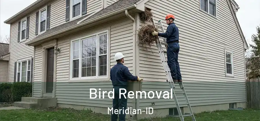 Bird Removal Meridian-ID