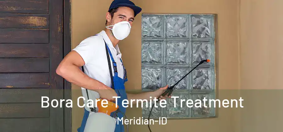 Bora Care Termite Treatment Meridian-ID
