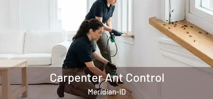Carpenter Ant Control Meridian-ID
