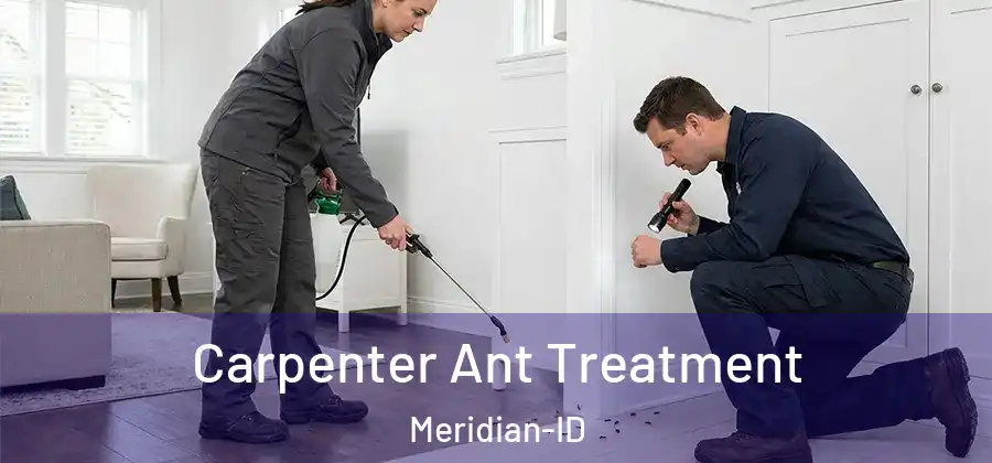 Carpenter Ant Treatment Meridian-ID