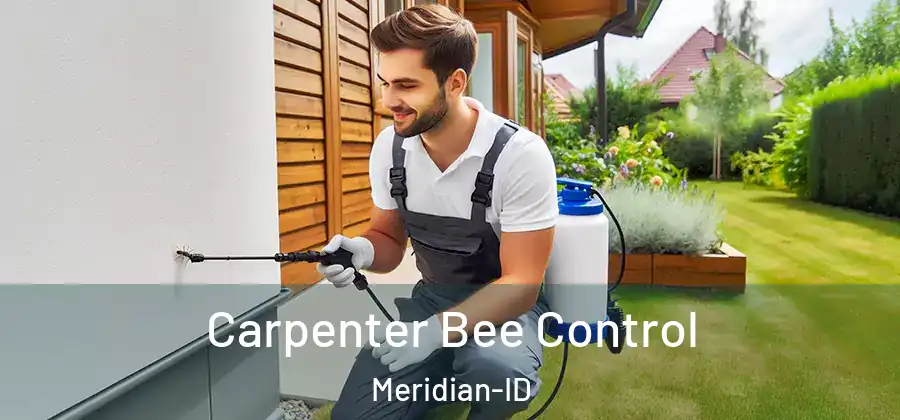  Carpenter Bee Control Meridian-ID