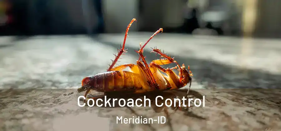  Cockroach Control Meridian-ID