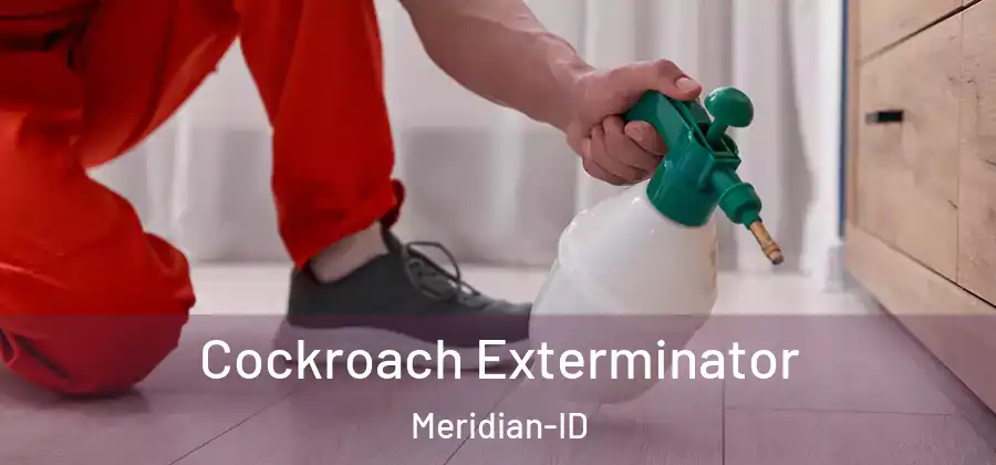  Cockroach Exterminator Meridian-ID