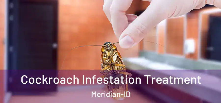 Cockroach Infestation Treatment Meridian-ID