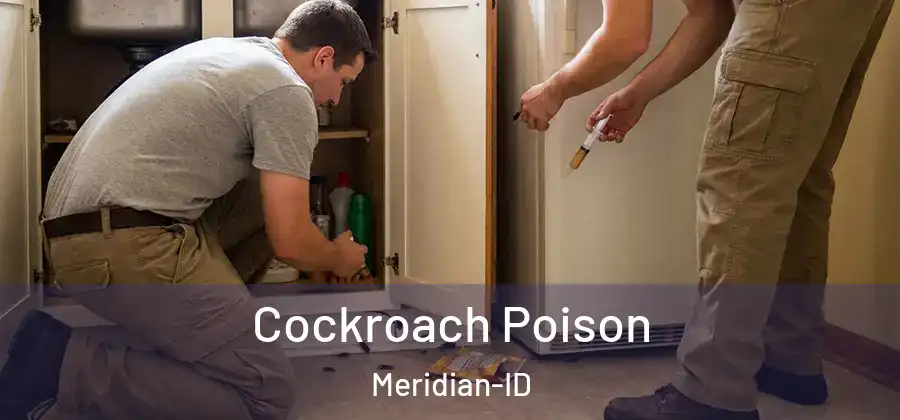 Cockroach Poison Meridian-ID