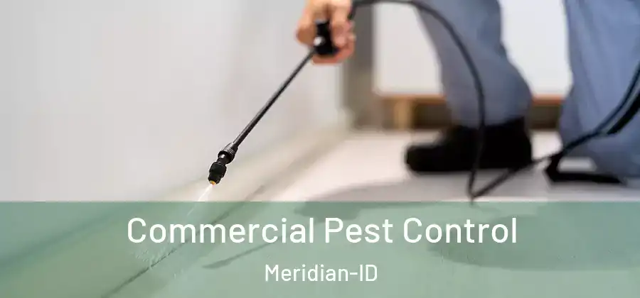  Commercial Pest Control Meridian-ID