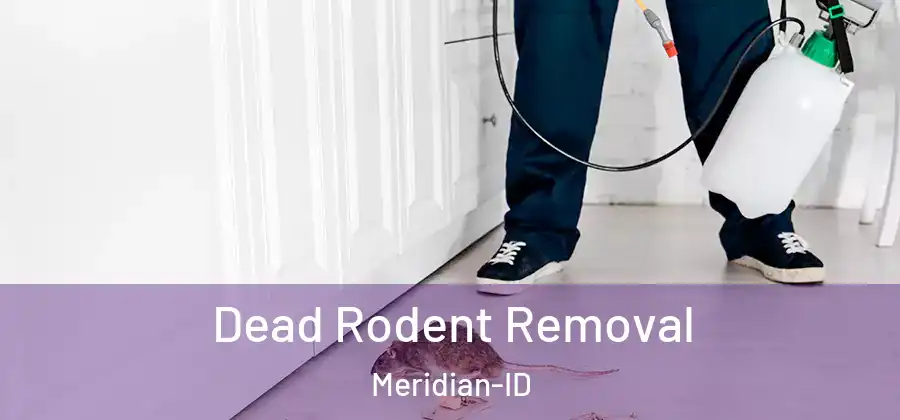  Dead Rodent Removal Meridian-ID