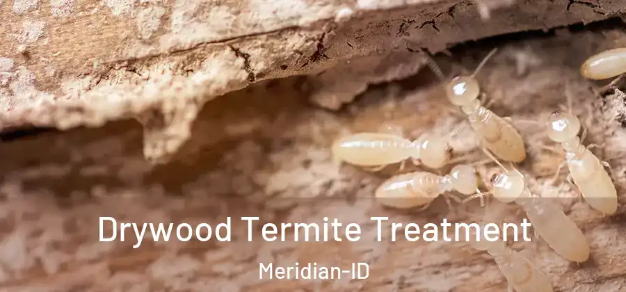 Drywood Termite Treatment Meridian-ID