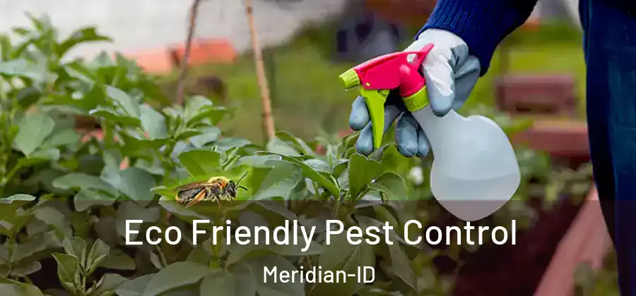Eco Friendly Pest Control Meridian-ID