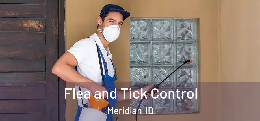 Flea and Tick Control Meridian-ID