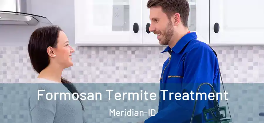 Formosan Termite Treatment Meridian-ID