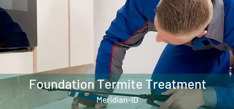  Foundation Termite Treatment Meridian-ID