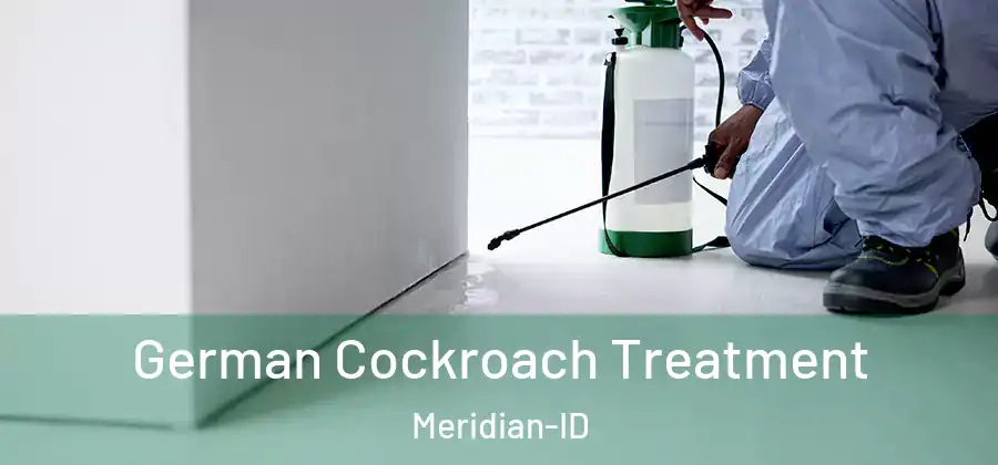  German Cockroach Treatment Meridian-ID