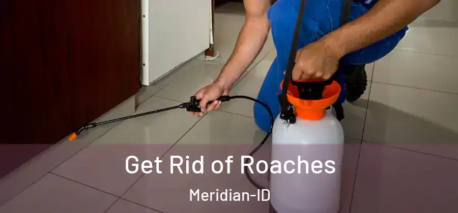Get Rid of Roaches Meridian-ID