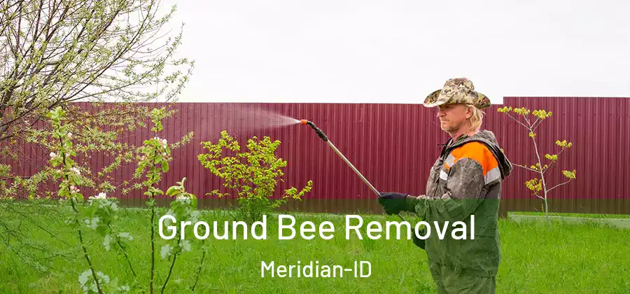 Ground Bee Removal Meridian-ID