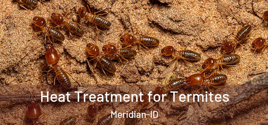 Heat Treatment for Termites Meridian-ID