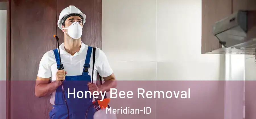  Honey Bee Removal Meridian-ID